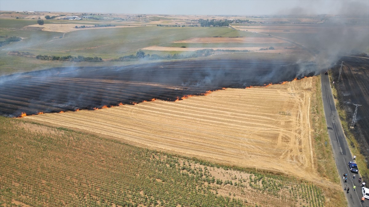 Tekirdağ'ın Hayrabolu ilçesinde buğday tarlasında çıkan ve rüzgarın etkisiyle büyüyerek kısmen...