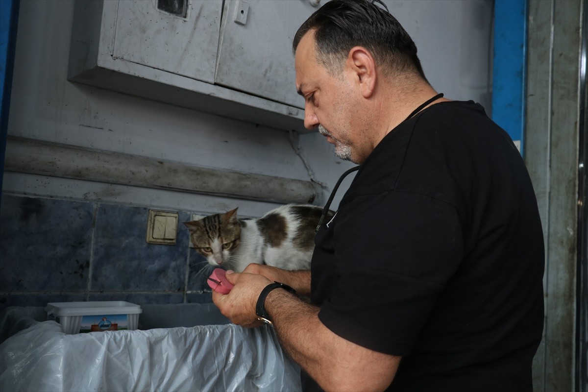 Trabzon'un Akçaabat ilçesindeki küçük sanayi sitesi esnaflarından Yusuf Şahinkaya tarafından tüm...