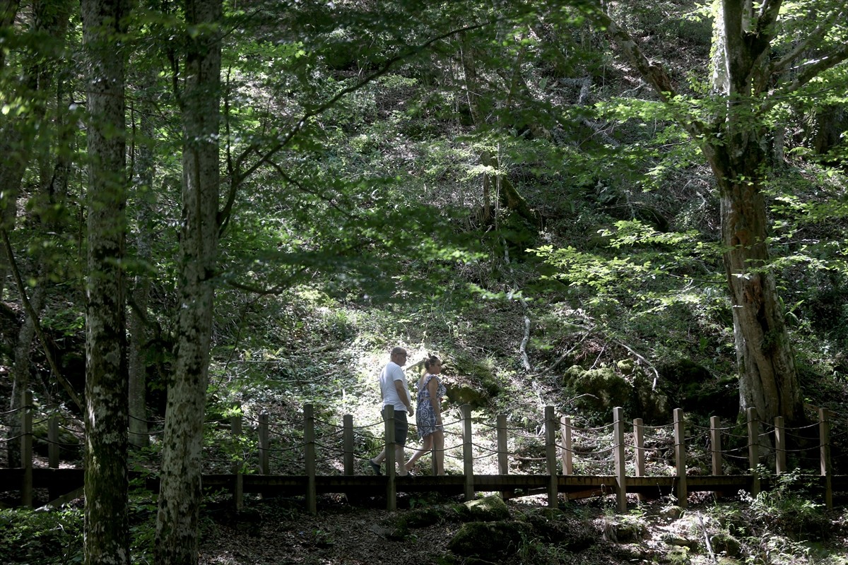 Trakya'nın turizme açık tek mağarası olan ve sıcaklığı 17 dereceyi geçmeyen Dupnisa Mağarası, hava...