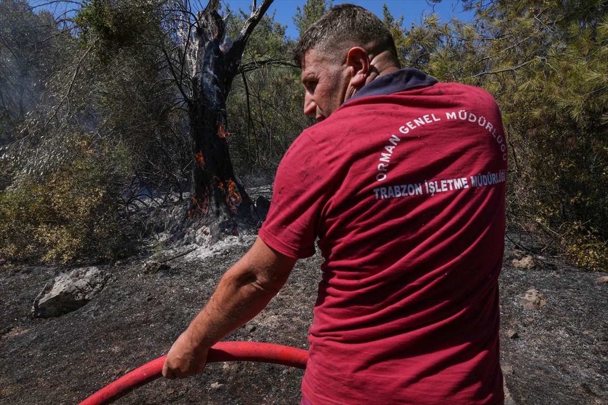 Türkiye'nin farklı kentlerinden ekip araçlarıyla İzmir'e gelen orman işçileri, Seferihisar ve...