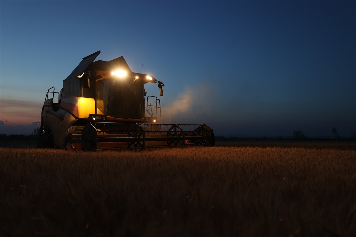 Türkiye'nin önemli tahıl ambarlarından Trakya'da buğday hasadı aşırı sıcak nedeniyle gece...