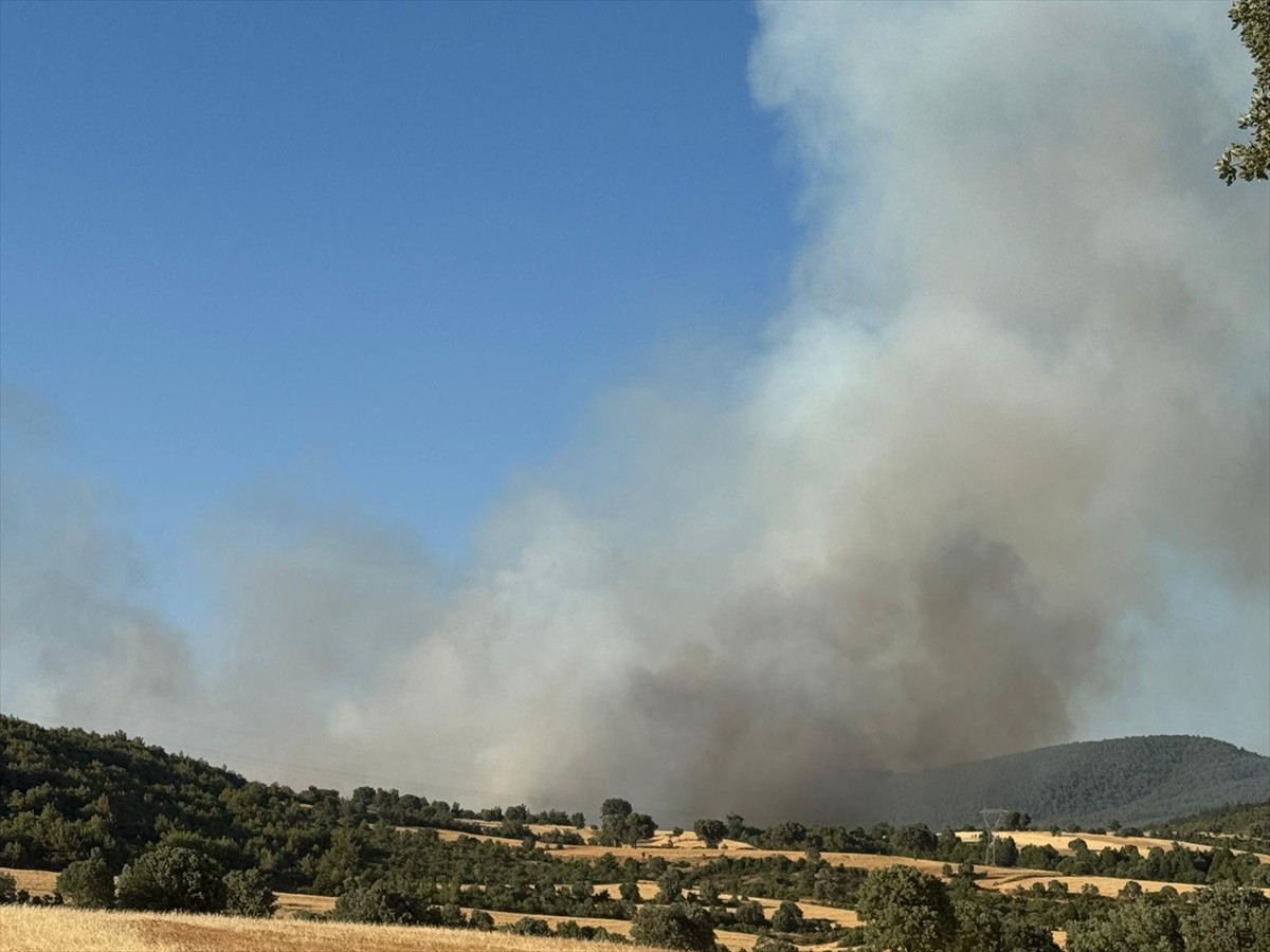 Uşak'ın Banaz ilçesindeki orman yangınına havadan ve karadan müdahale ediliyor.
