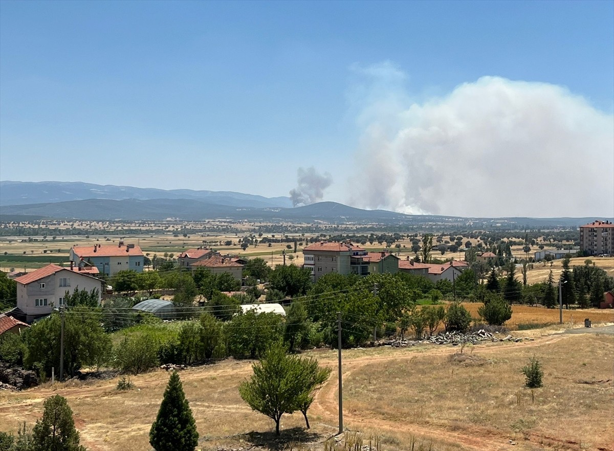 Uşak'ın Sivaslı ilçesinde meşelik alanda çıkan yangına havadan ve karadan müdahale...