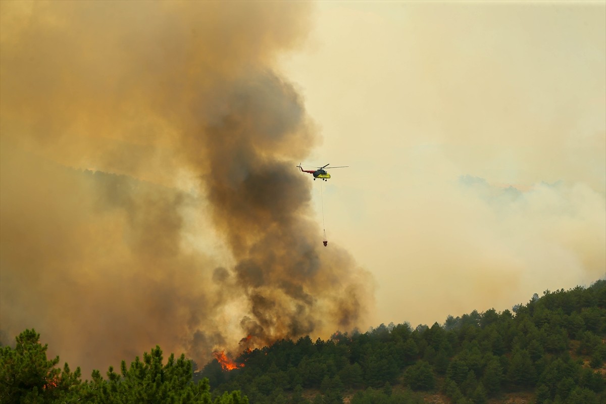 Uşak'ta çıkan orman yangınına havadan ve karadan müdahale edildi.