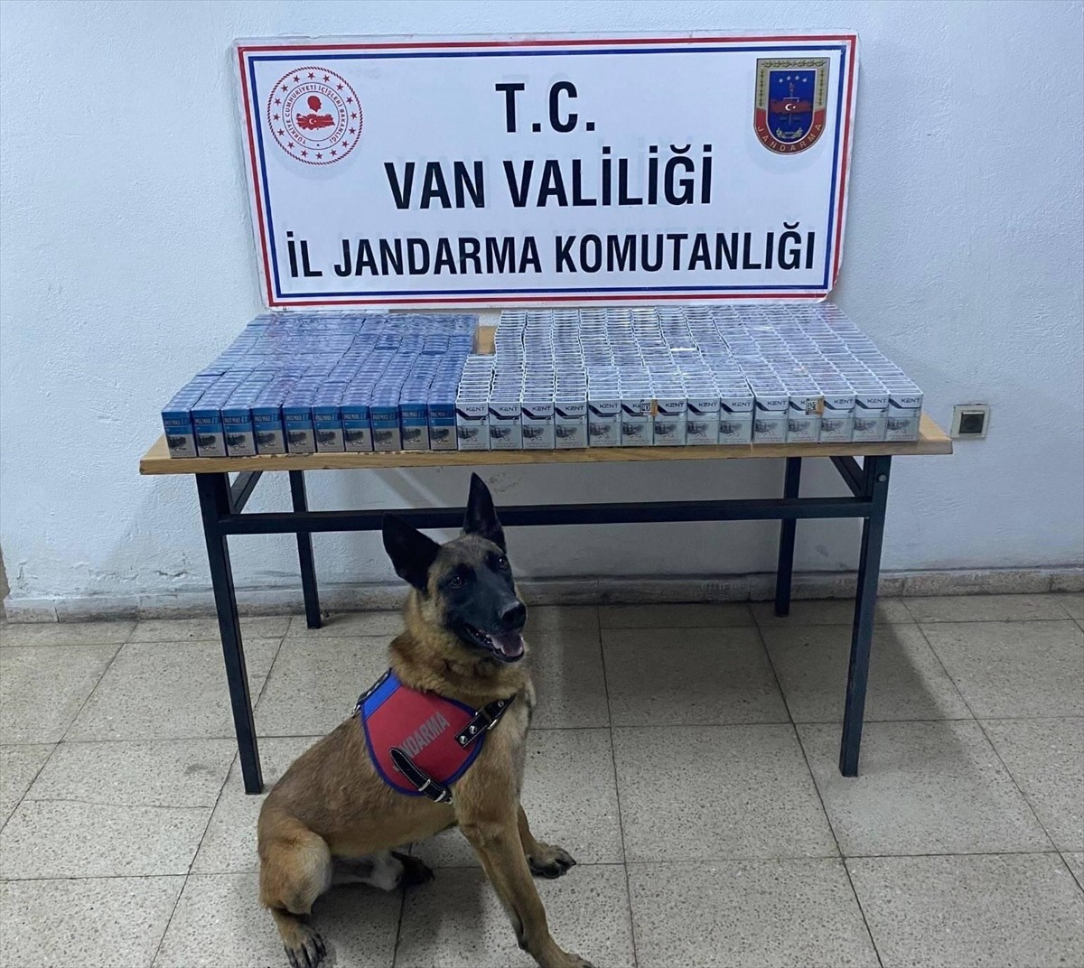 Van'da jandarma ekiplerince gerçekleştirilen kaçakçılık operasyonlarında 32 şüpheli gözaltına...