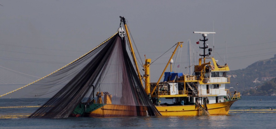 1 Eylül'de Av Yasağı Kalkıyor: Balıkçılar Hazırlıklarını Tamamladı