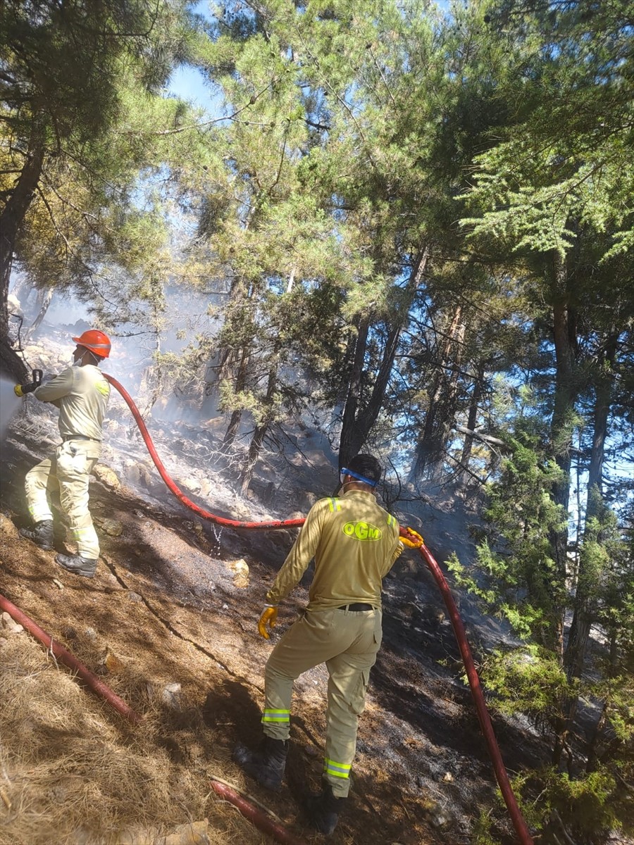 Adana'nın Aladağ ilçesinde çıkan orman yangını, ekiplerin havadan ve karadan müdahalesiyle kontrol...