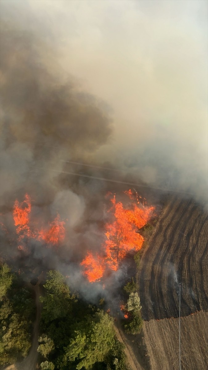 Adana'nın İmamoğlu ilçesinde ormanlık alanda çıkan yangına havadan ve karadan müdahale...