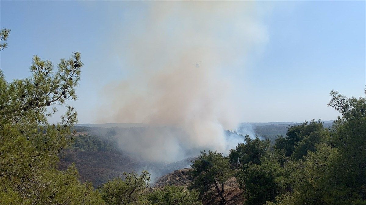 Adana'nın Sarıçam ilçesinde çıkan orman yangınına havadan ve karadan müdahale ediliyor.