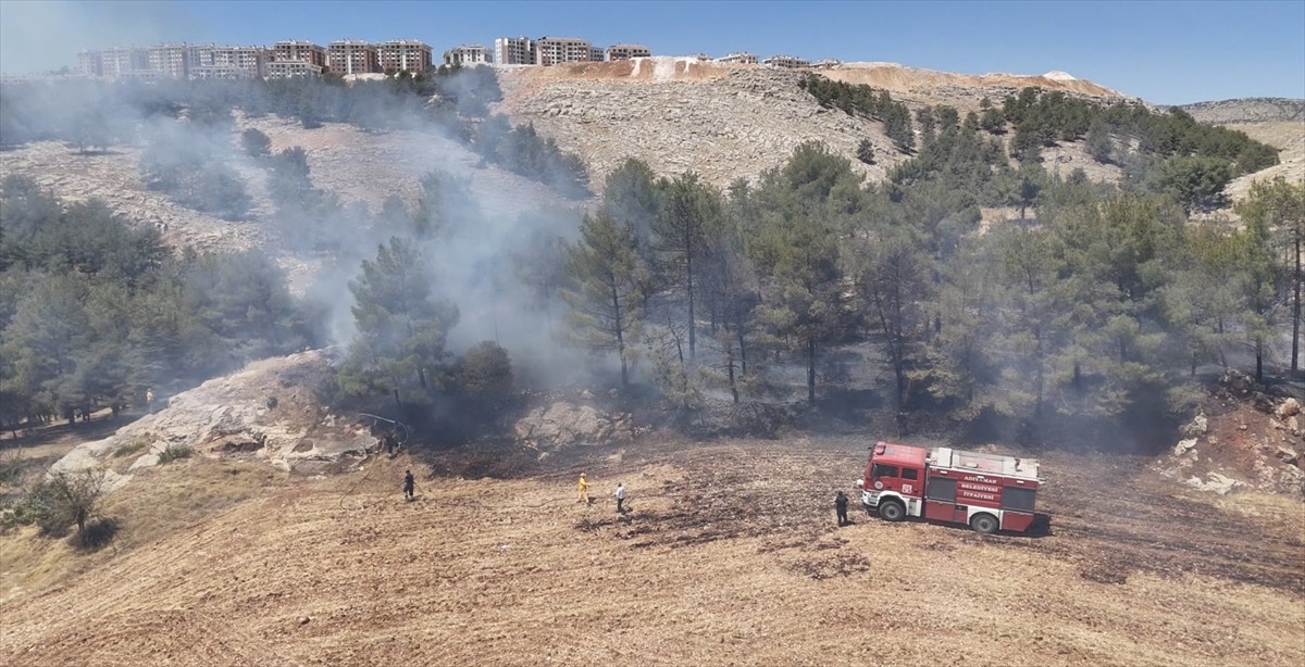 Adıyaman'da ormanlık alanda çıkan yangın söndürüldü.