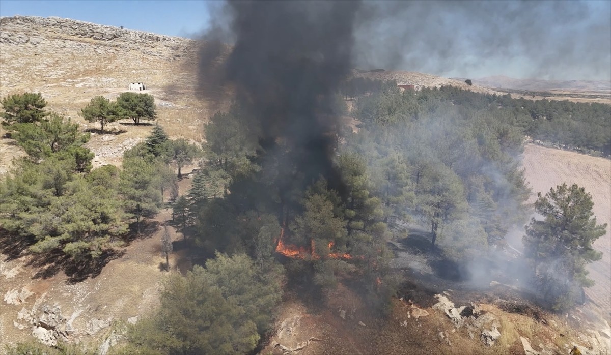 Adıyaman'da ormanlık alanda çıkan yangın söndürüldü.