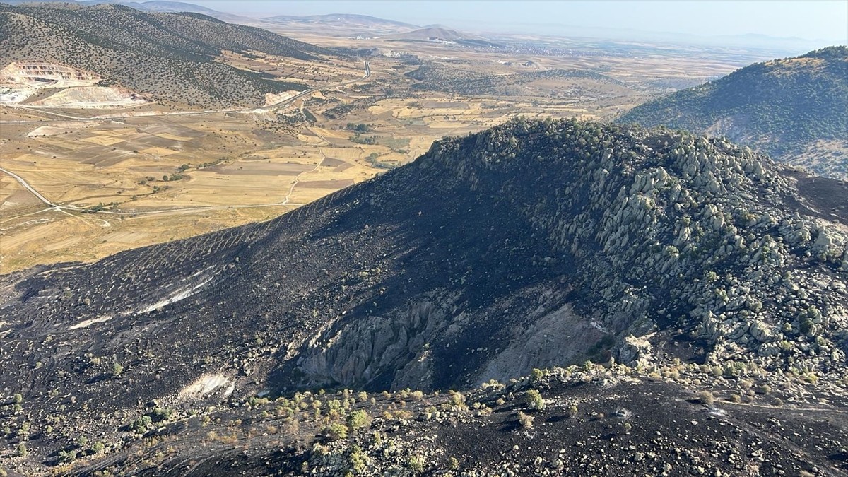 Afyonkarahisar'ın Bolvadin ilçesinde çıkan örtü yangını kontrol altına alındı.