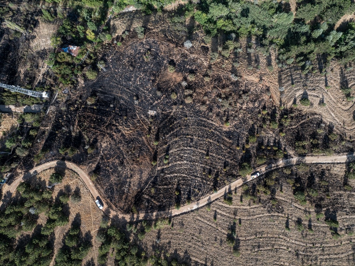 Ankara'nın Çankaya ilçesinde çalılık alanda çıkan yangın söndürüldü.