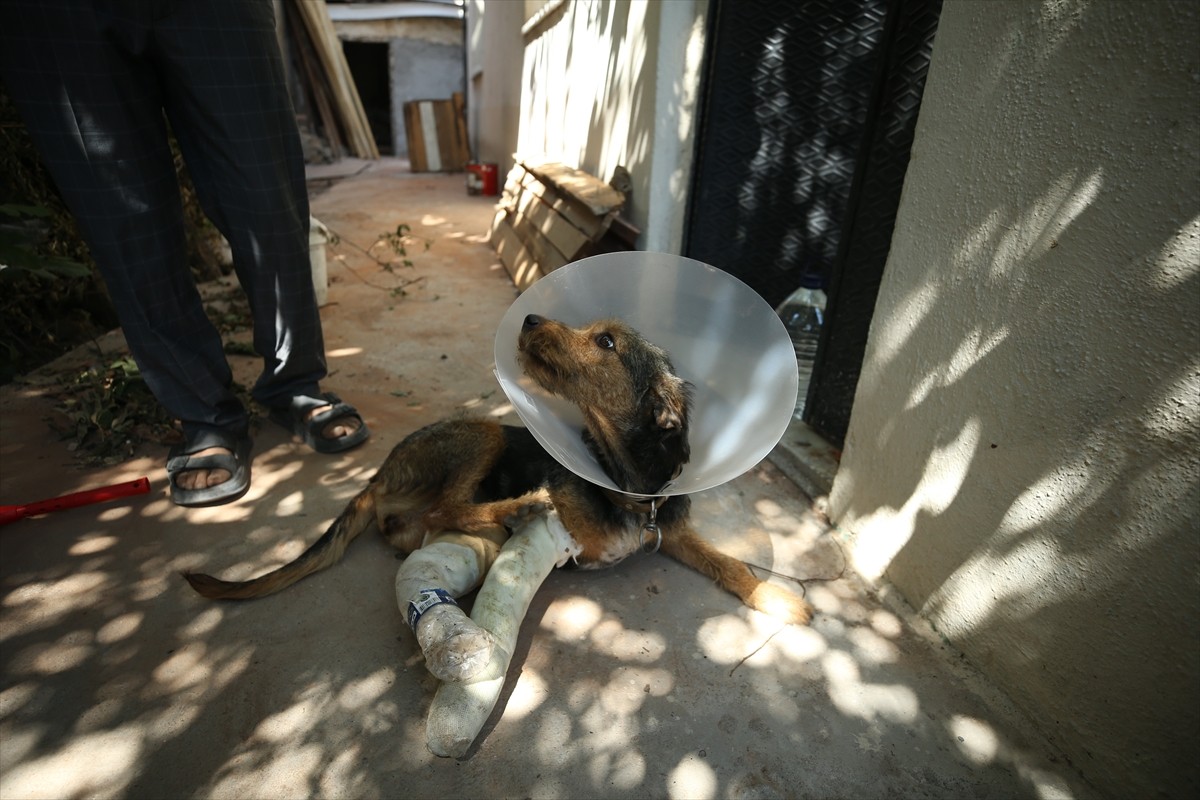Balıkesir'in Sındırgı ilçesinde meydana gelen 6,1 büyüklüğündeki depremde binadan düşen molozun...