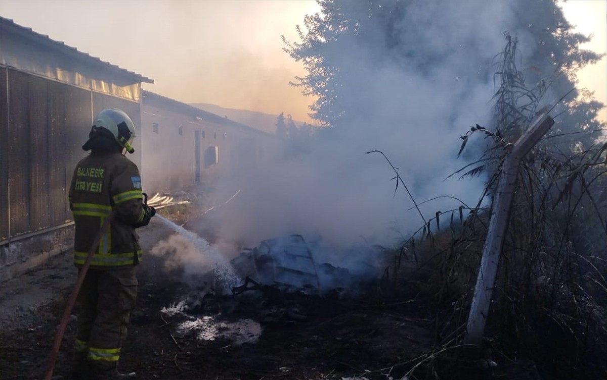 Balıkesir'in Sındırgı ilçesindeki bir tavuk çiftliği ile Edremit ilçesindeki eski zeytinyağı...