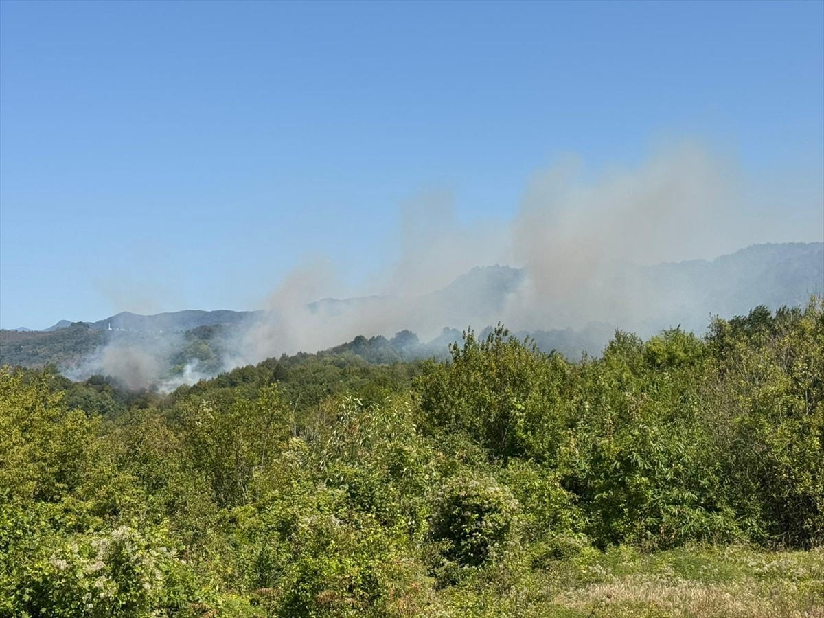 Bartın'ın Amasra ilçesinde ormanlık alanda çıkan yangını söndürme çalışmaları...