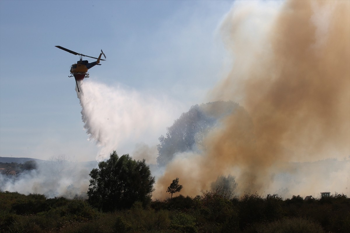 Batı Trakya’da Türklerin yoğun olarak yaşadığı Gümülcine kenti yakınlarında, bu sabah ormanlık...