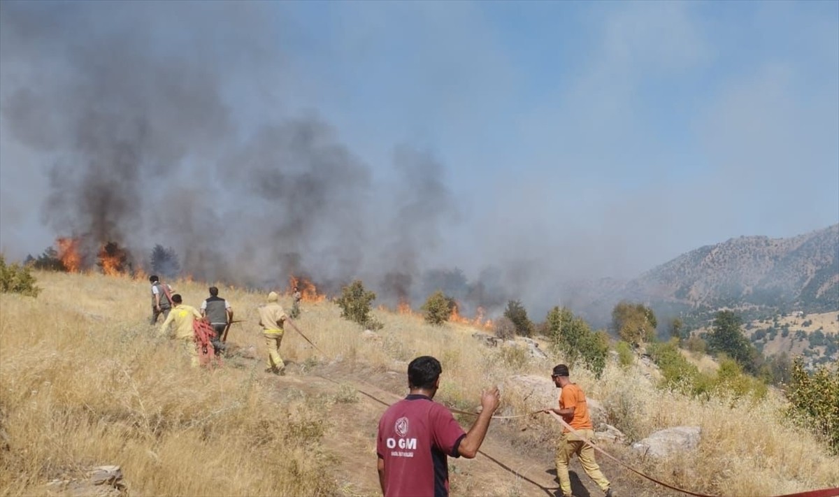 Bingöl'ün Genç ilçesinde ormanlık alanda çıkan yangına müdahale ediliyor.