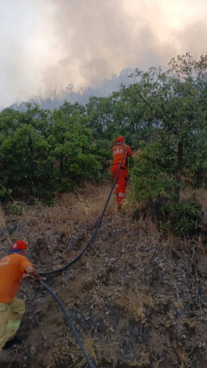Bingöl'ün Kiğı ilçesinde çıkan orman yangını söndürüldü.