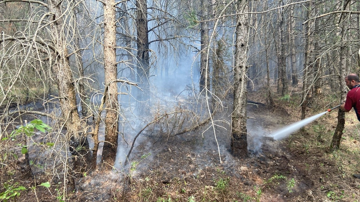 Bolu'nun Mengen ilçesinde karadan ve havadan müdahaleyle kontrol altına alınan orman yangınında...