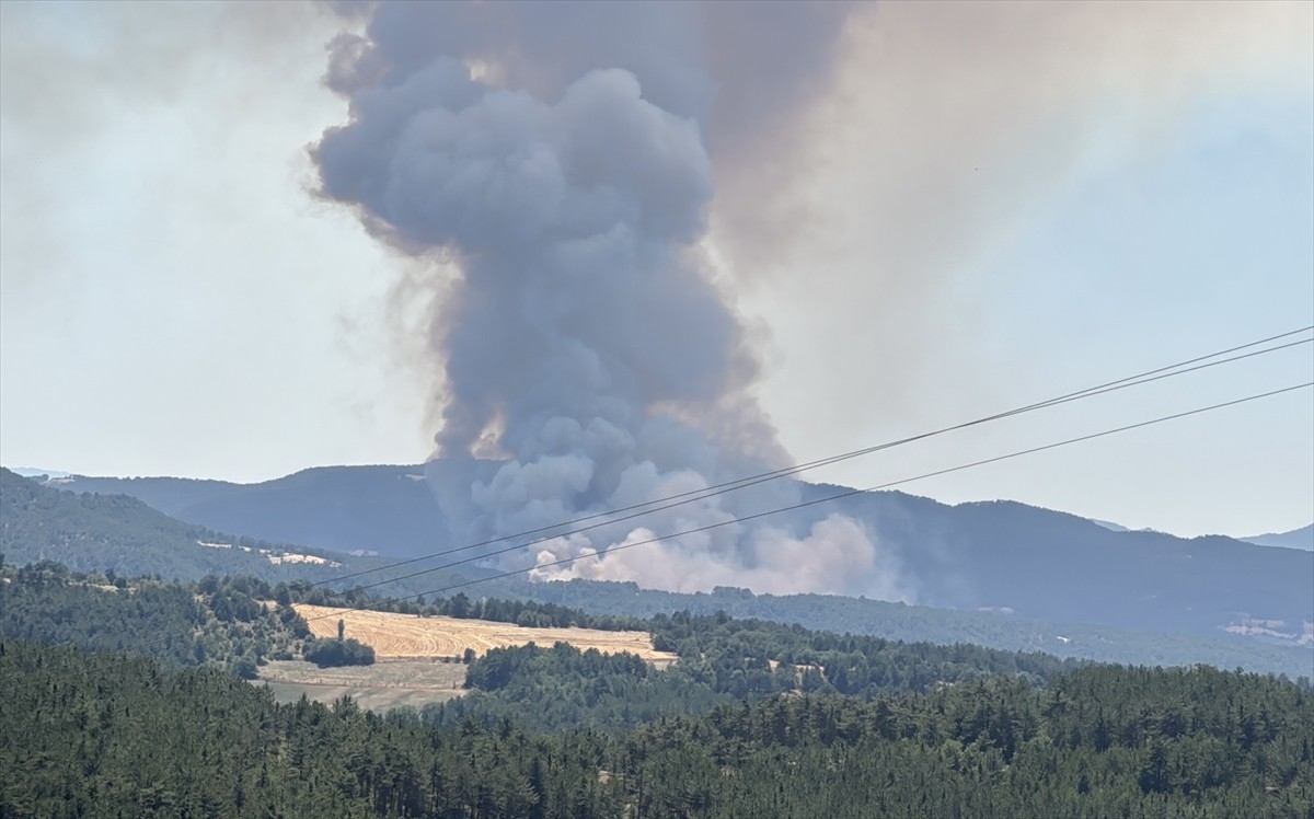 Bolu'nun Mudurnu ilçesinde çıkan orman yangınına havadan ve karadan müdahale başlatıldı.
