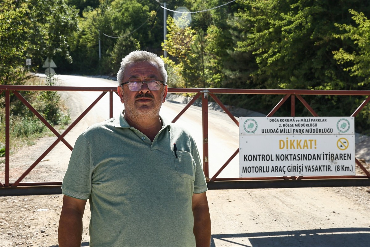 Bursa'nın Kestel ilçesine bağlı Orhaniye Mahallesi'nin muhtarı Osman Yıldız, ormana izinsiz...