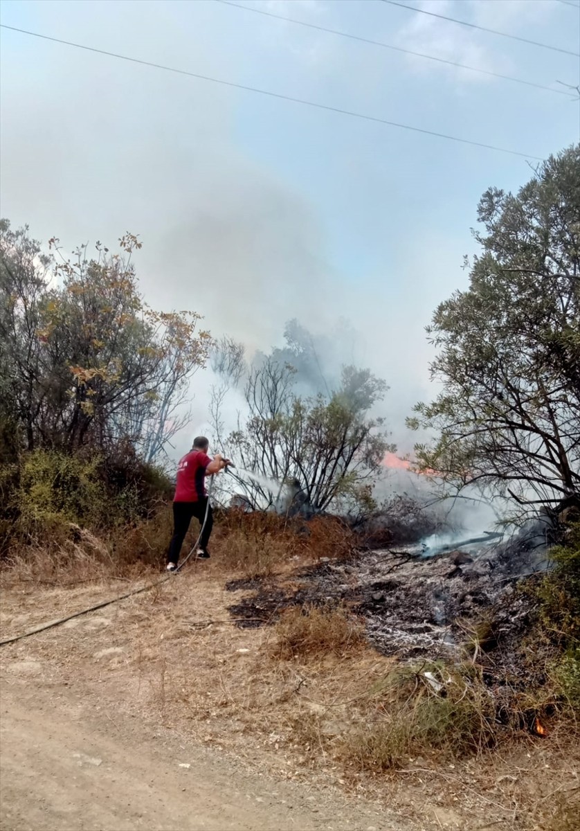 Bursa'nın Mudanya ilçesinde zeytinlikte çıkan yangın söndürüldü.