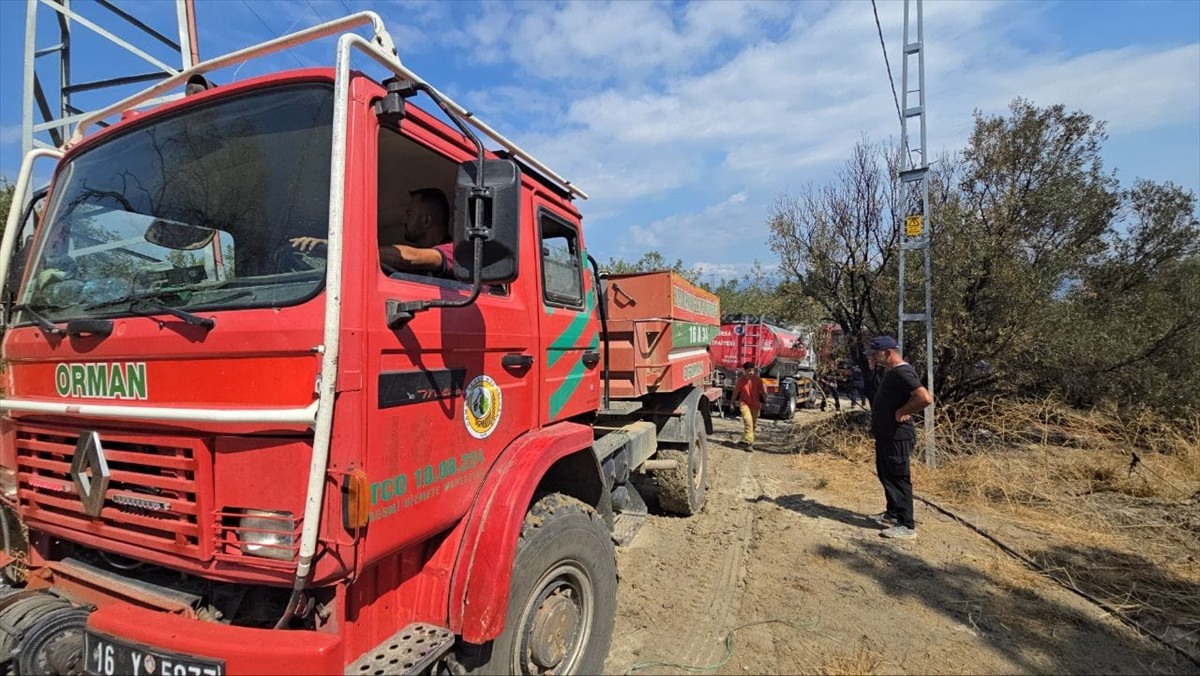 Bursa'nın Mudanya ilçesindeki ormanlık alanda çıkan yangın, itfaiye ekiplerince...