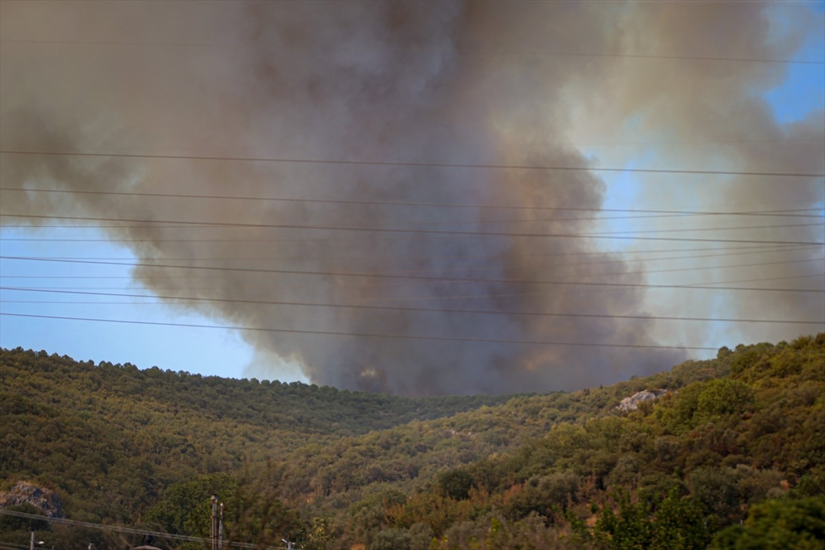 Bursa'nın Yenişehir ilçesinde ormanlık alanda çıkan yangına havadan ve karadan müdahale...