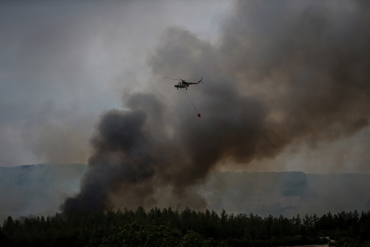 Bursa'nın Yenişehir ilçesinde, ormanlık alanda çıkan yangına havadan ve karadan müdahale...