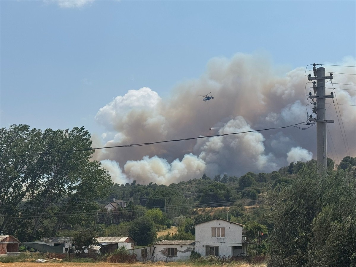 Çanakkale'de tarım arazisinde başlayıp ormanlık alana sıçrayan yangına havadan ve karadan müdahale...