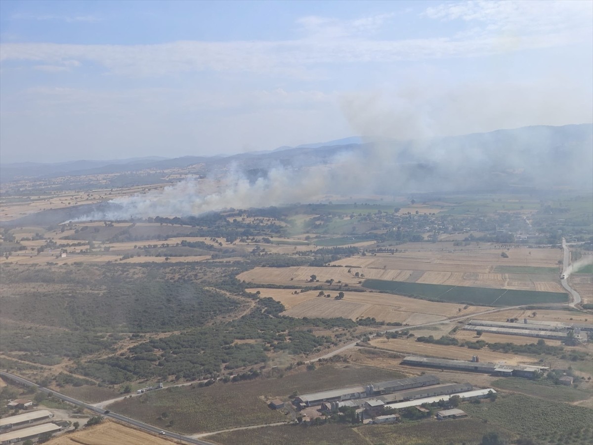 Çanakkale'nin Biga ilçesinde orman dışı alanda çıkan yangına havadan ve karadan müdahale...