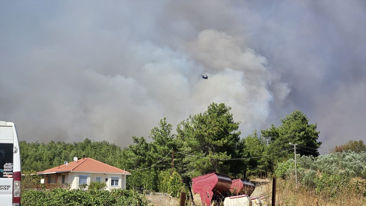 Çanakkale'nin Gelibolu ilçesinde çıkan yangına havadan ve karadan müdahale ediliyor.