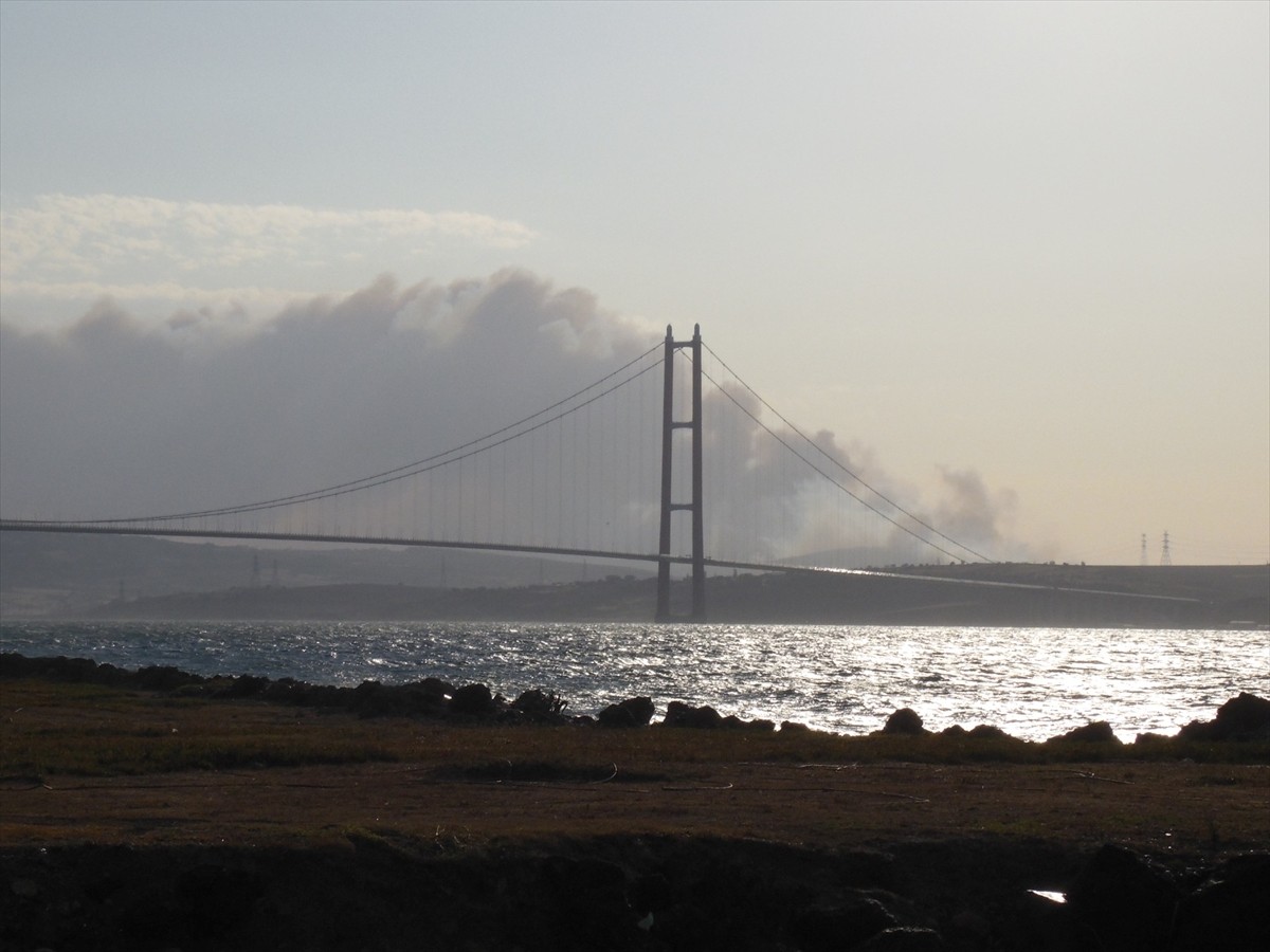 Çanakkale'nin Gelibolu ilçesinde ormanlık alanda çıkan yangına havadan ve karadan müdahale...