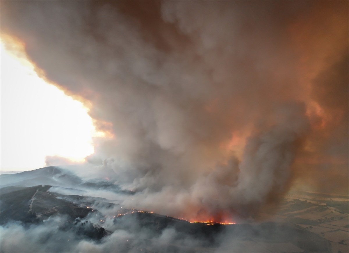 Çanakkale'nin Gelibolu ilçesinde ormanlık alanda çıkan yangına havadan ve karadan müdahale...