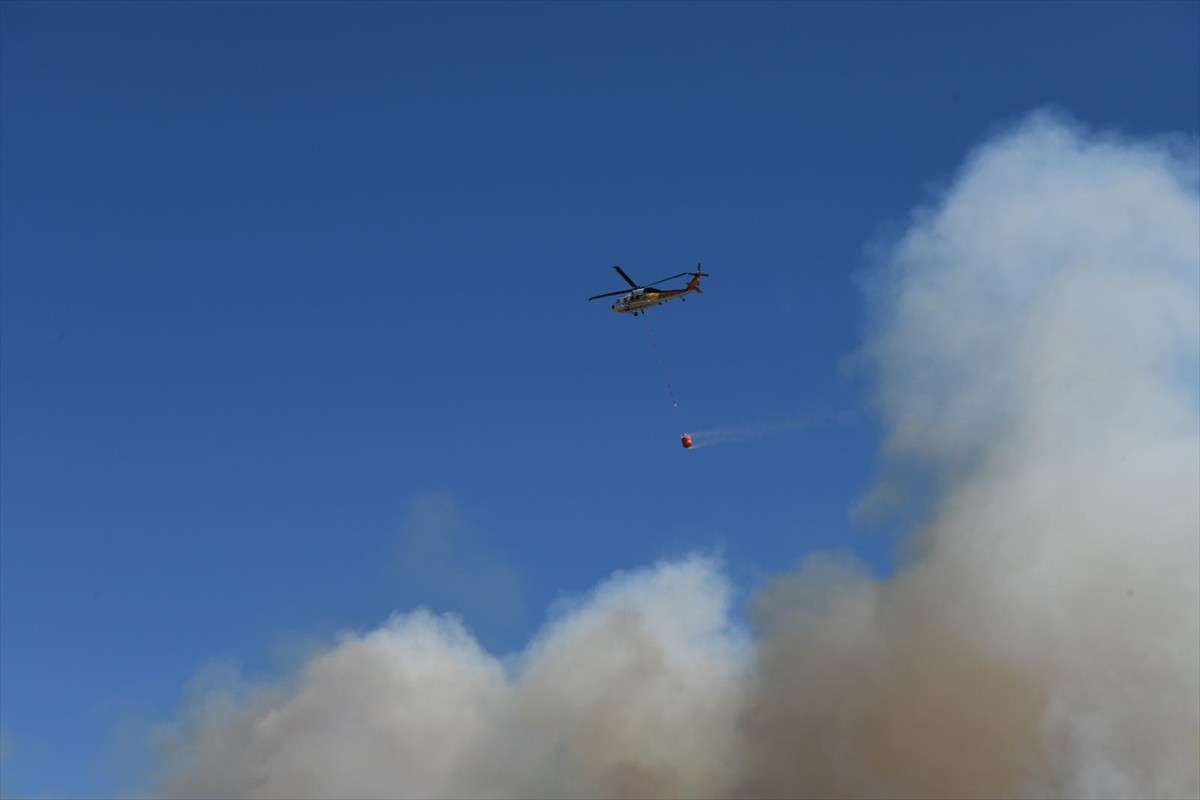 Çanakkale'nin Lapseki ilçesindeki tarım arazisinde çıkan yangına havadan ve karadan müdahale...