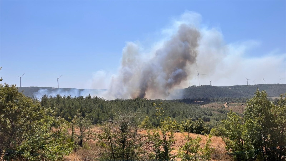  Çanakkale merkezde ormanlık alanda çıkan yangına havadan ve karadan müdahale ediliyor.