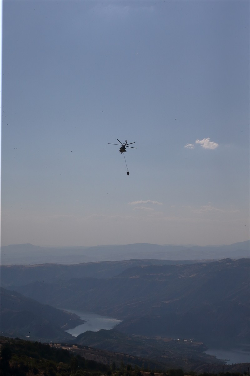 Çorum'un Çalyayla köyündeki ormanlık alanda çıkan yangın kontrol altına alındı. Yangına...