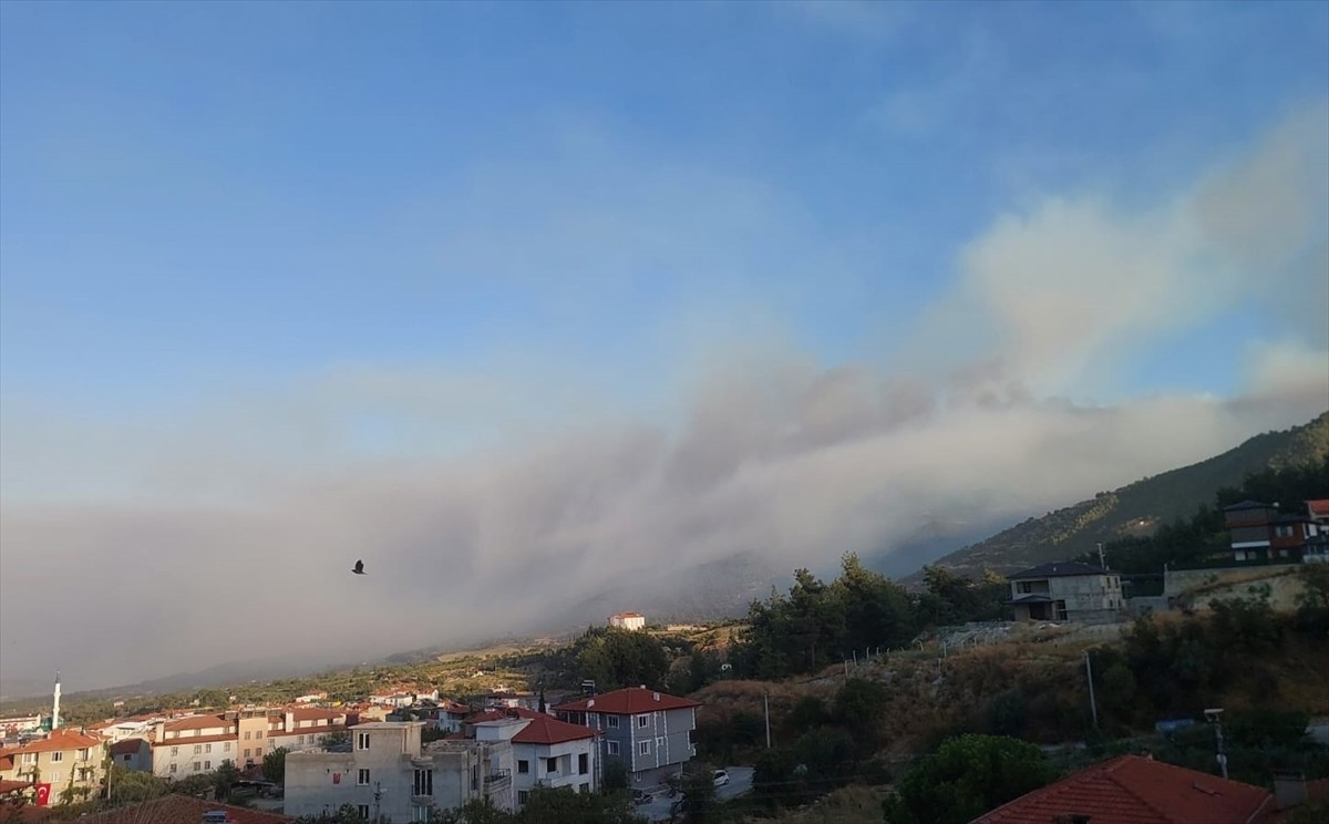 Denizli'nin Buldan ilçesinde çıkan orman yangınını kontrol altına almak için çalışmalar devam...