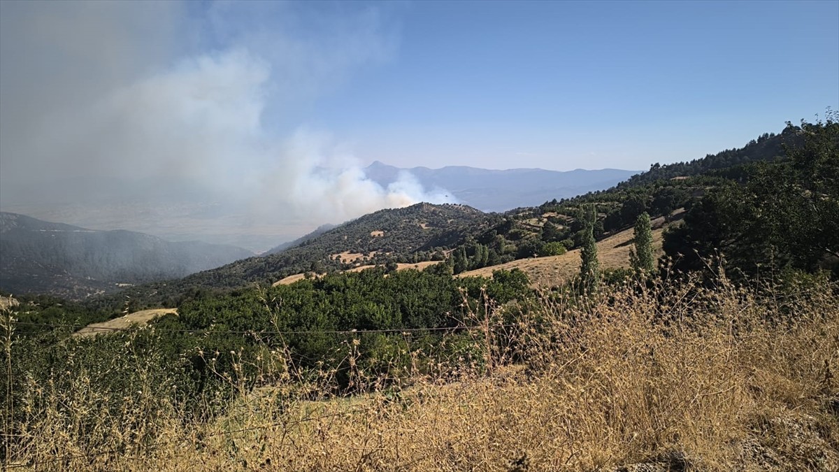 Denizli'nin Buldan ilçesinde dün ormanlık alanda çıkan ve bugün kontrol altına alındıktan sonra...