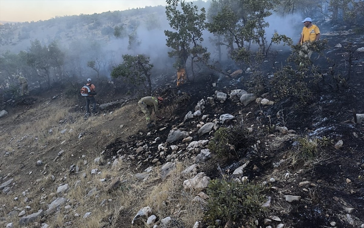Diyarbakır'ın Lice ilçesi kırsalındaki ormanlık alanda çıkan yangın söndürüldü.