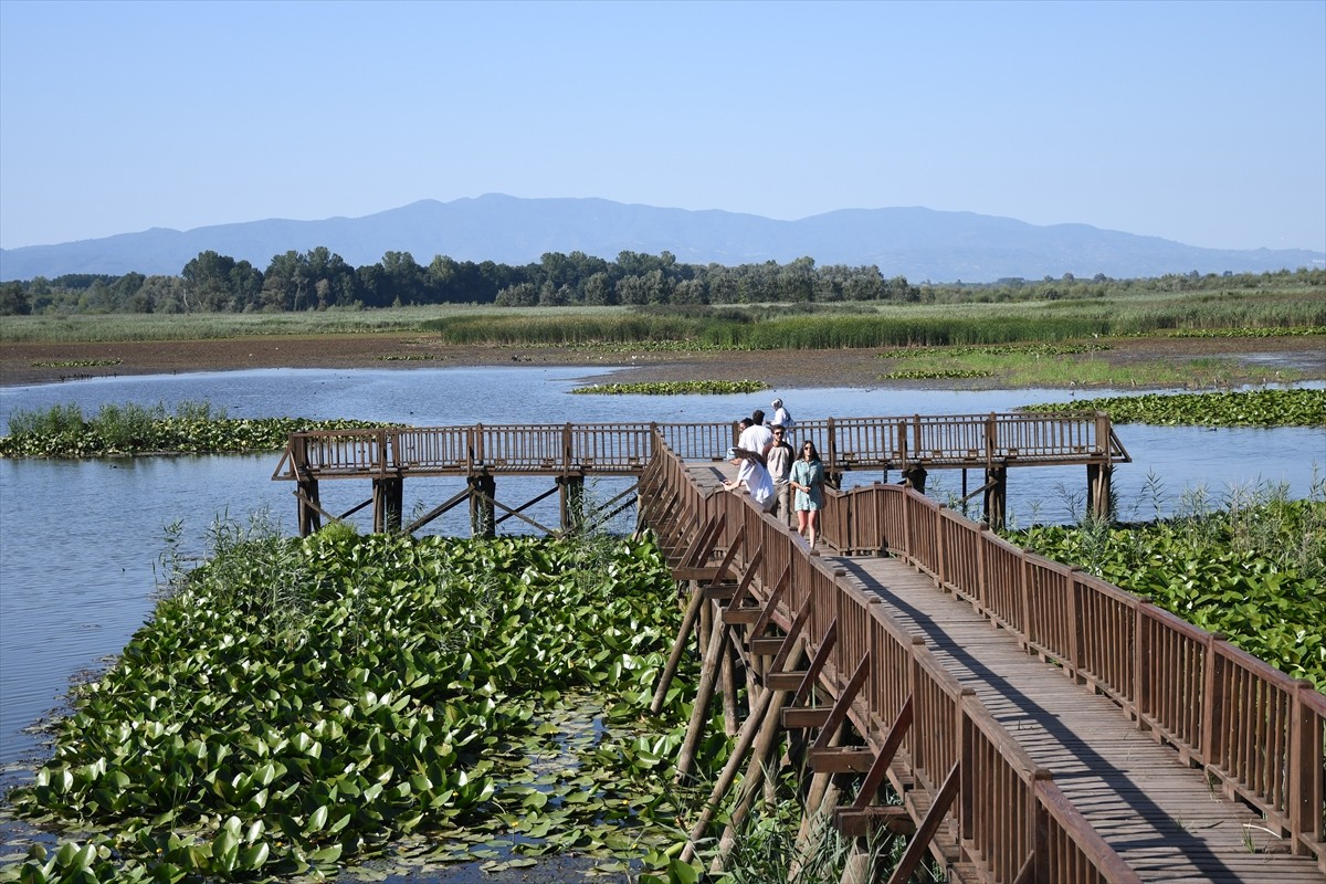 Düzce'nin Gölyaka ilçesinde yer alan Efteni Gölü Kuş Cenneti, hafta sonu doğaseverlerin tercih...