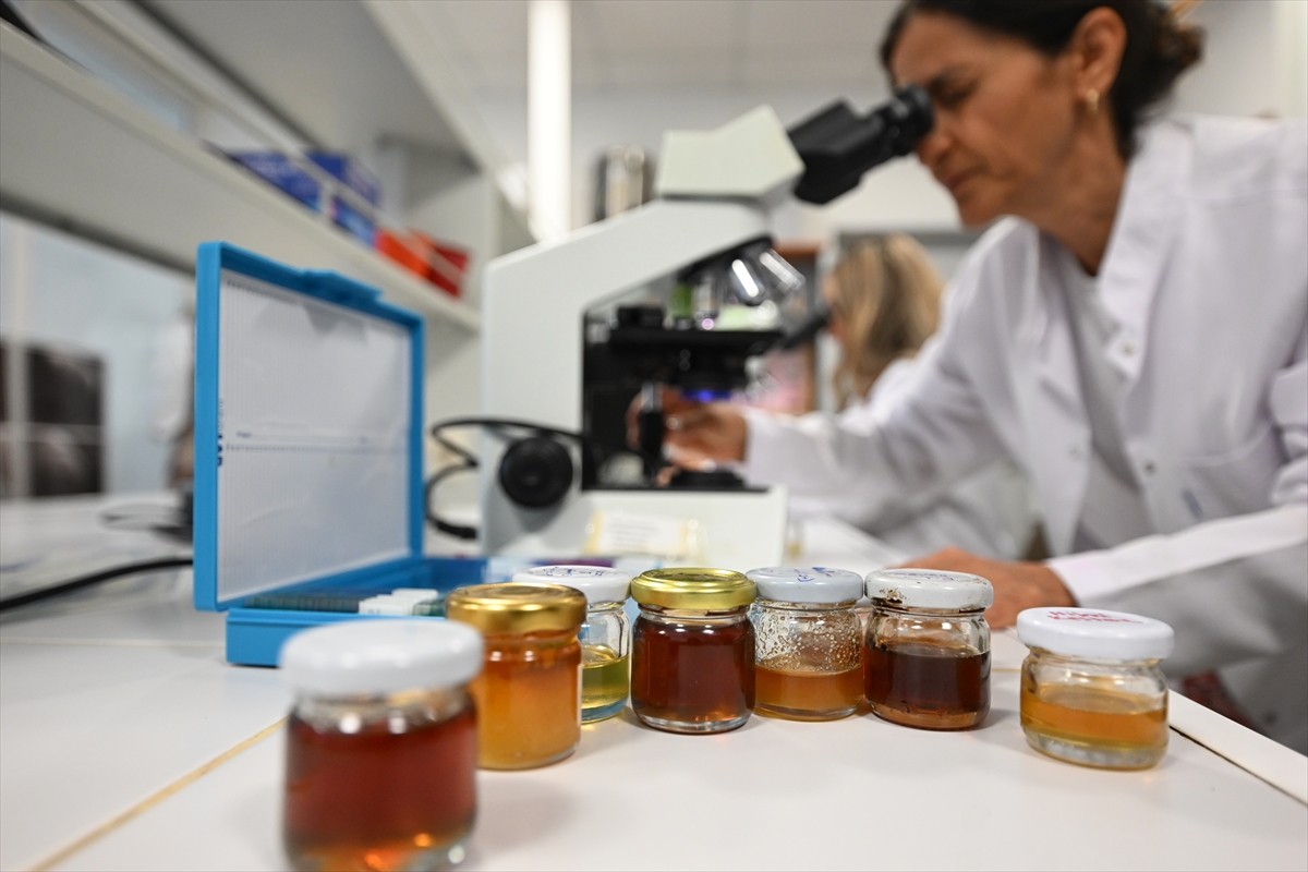 Düzce Üniversitesi Arıcılık Araştırma Geliştirme ve Uygulama Merkezi Müdürü Prof. Dr. Meral...