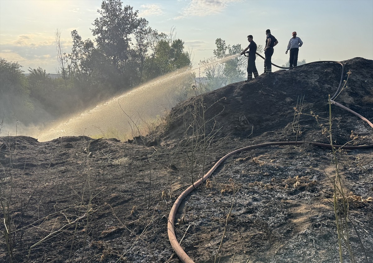 Edirne'de, Tunca Nehri kenarında otluk ve ağaçlık alanda çıkan yangın söndürüldü.