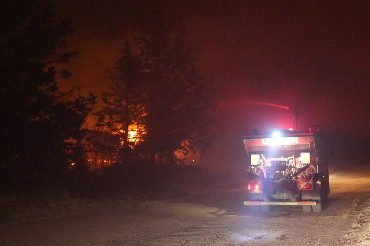 Edirne'nin Enez ilçesine bağlı Büyükevren ve Gülçavuş köylerindeki orman yangınına müdahale...