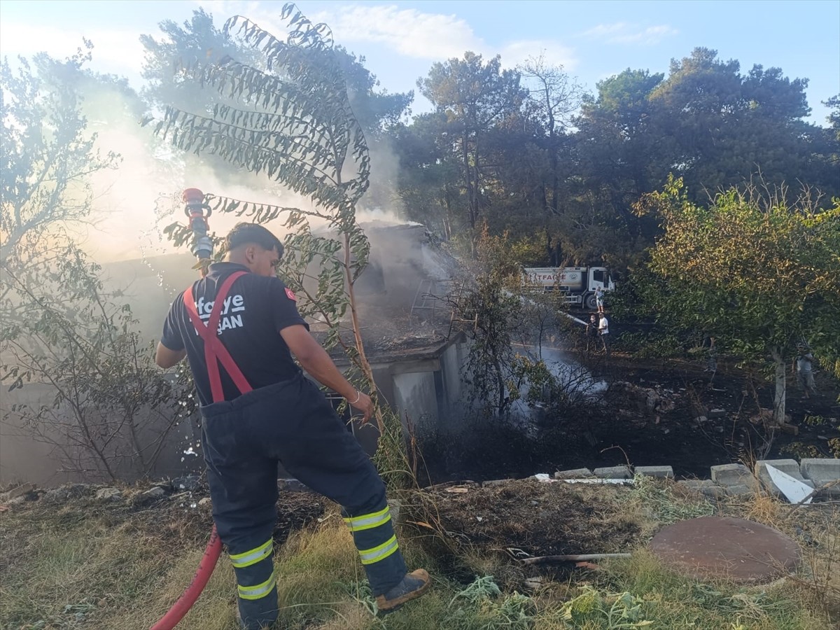 Edirne'nin Keşan ilçesinde çıkan orman yangını, ekiplerin havadan ve karadan müdahalesiyle kontrol...