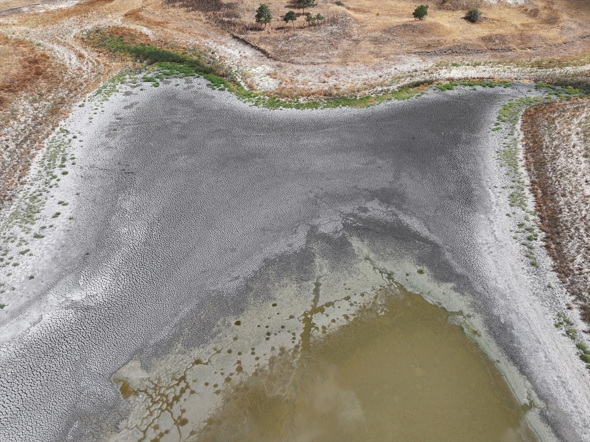 Edirne'nin merkeze bağlı Demirhanlı köyündeki göletin su seviyesi, kuraklık ve aşırı sıcaklara...