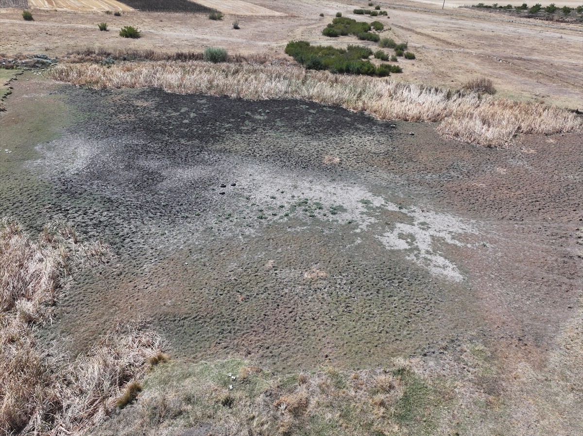 Edirne'nin Süloğlu ilçesine bağlı Yağcılı köyünde bulunan gölet, kuraklık ve aşırı sıcaklar...