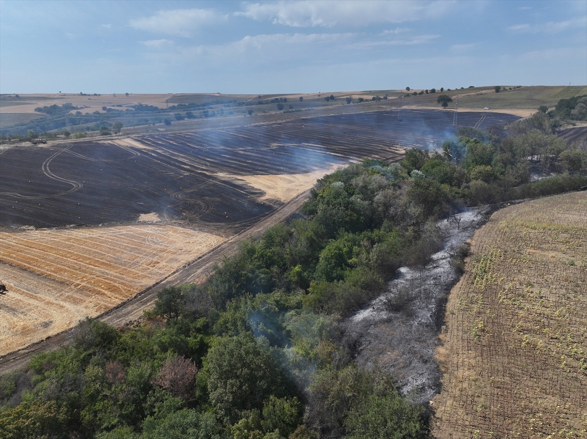 Edirne’de anızda başlayıp ağaçlık alana sıçrayan yangın ekiplerin müdahalesiyle söndürüldü....