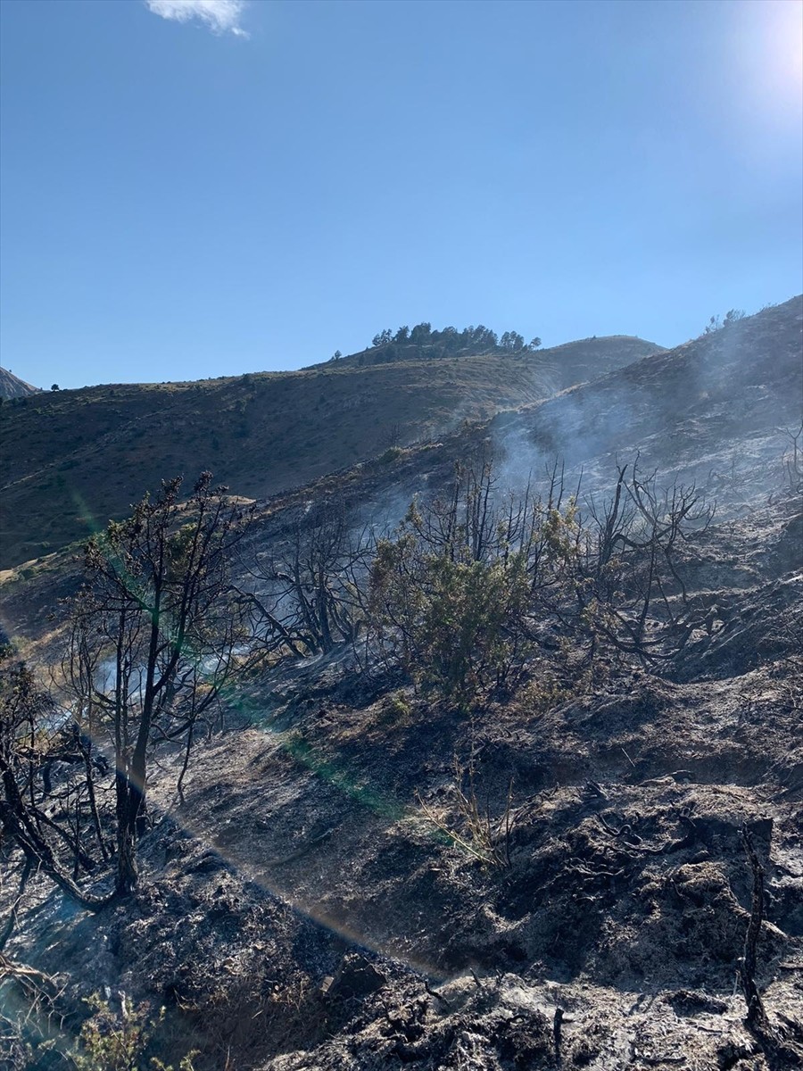 Erzurum'un İspir ilçesinde çıkan örtü yangını, itfaiye ve orman işletme ekiplerince...